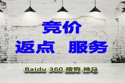 托管SEM竞价服务提供商的选择与评估标准