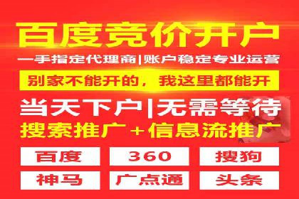 搜索引擎营销（SEM）在电商行业的投放策略案例